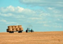 fondo imprese agricole